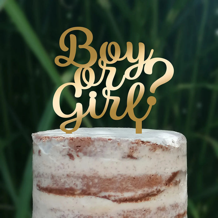 Cake Topper (Boy or Girl?) Babyparty Baby Shower Torte Deko (Beere)