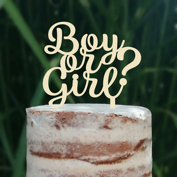 Cake Topper (Boy or Girl?) Babyparty Baby Shower Torte Deko (Beere)