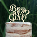 Cake Topper (Boy or Girl?) Babyparty Baby Shower Torte Deko (Beere)