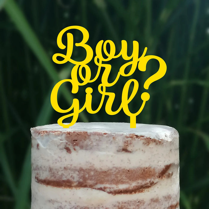 Cake Topper (Boy or Girl?) Babyparty Baby Shower Torte Deko (Beere)