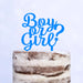 Cake Topper (Boy or Girl?) Babyparty Baby Shower Torte Deko (Beere)