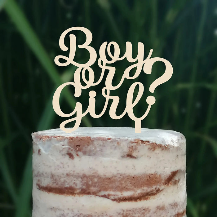 Cake Topper (Boy or Girl?) Babyparty Baby Shower Torte Deko (Beere)