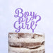 Cake Topper (Boy or Girl?) Babyparty Baby Shower Torte Deko (Beere)