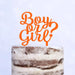 Cake Topper (Boy or Girl?) Babyparty Baby Shower Torte Deko (Beere)